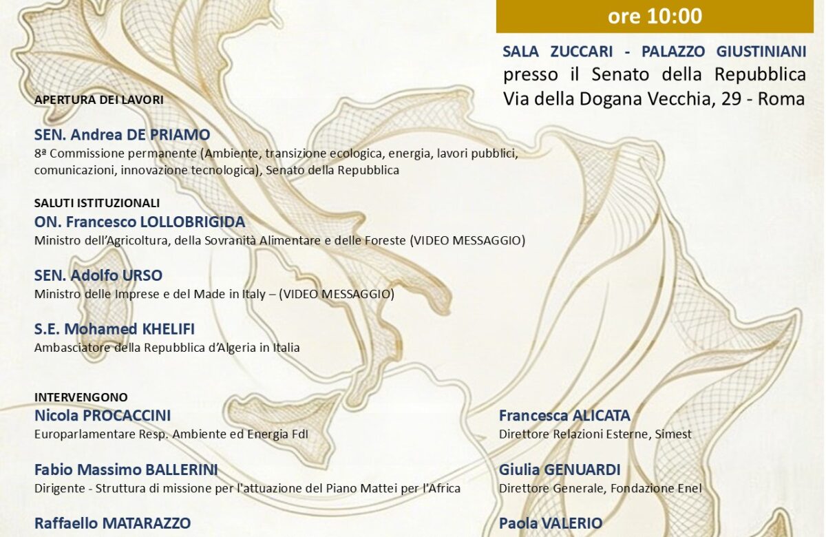 Oltre i Confini: Il Piano Mattei come strumento di crescita economica e di cooperazione internazionale